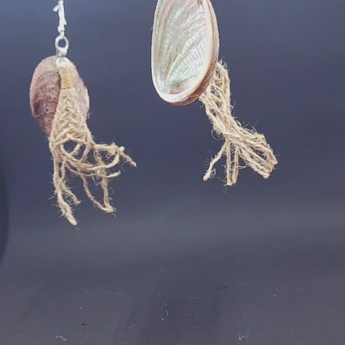 Paua Shell Earrings